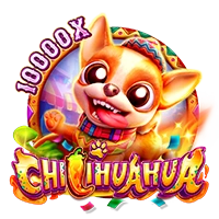 CHILIHUAHUA - NOLIMITSLOT777